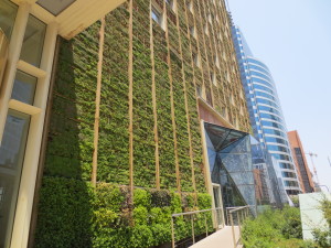 Creating a greener city